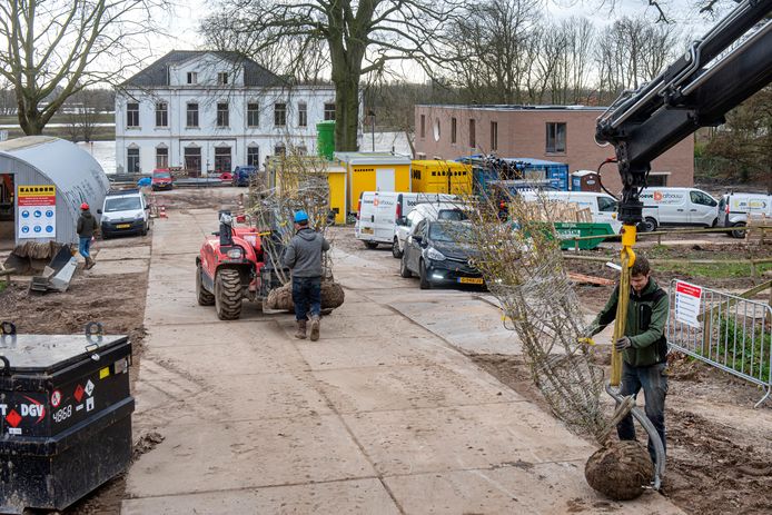 Aanvoer van bomen als nieuwe aanplant voor Landgoed Klingelbeek.