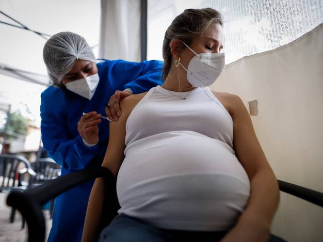 Nederlandse onderzoekers: “Corona bij zwangere kan leiden tot kapotte placenta en levensgevaar baby”