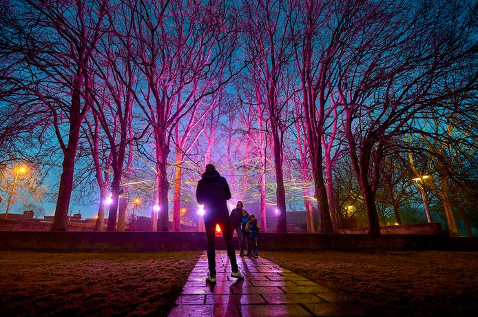 Sfeerbeeld van de lichtinstallatie