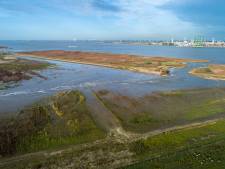 ‘Hedwigepolder mag nooit een nieuwe naam krijgen’