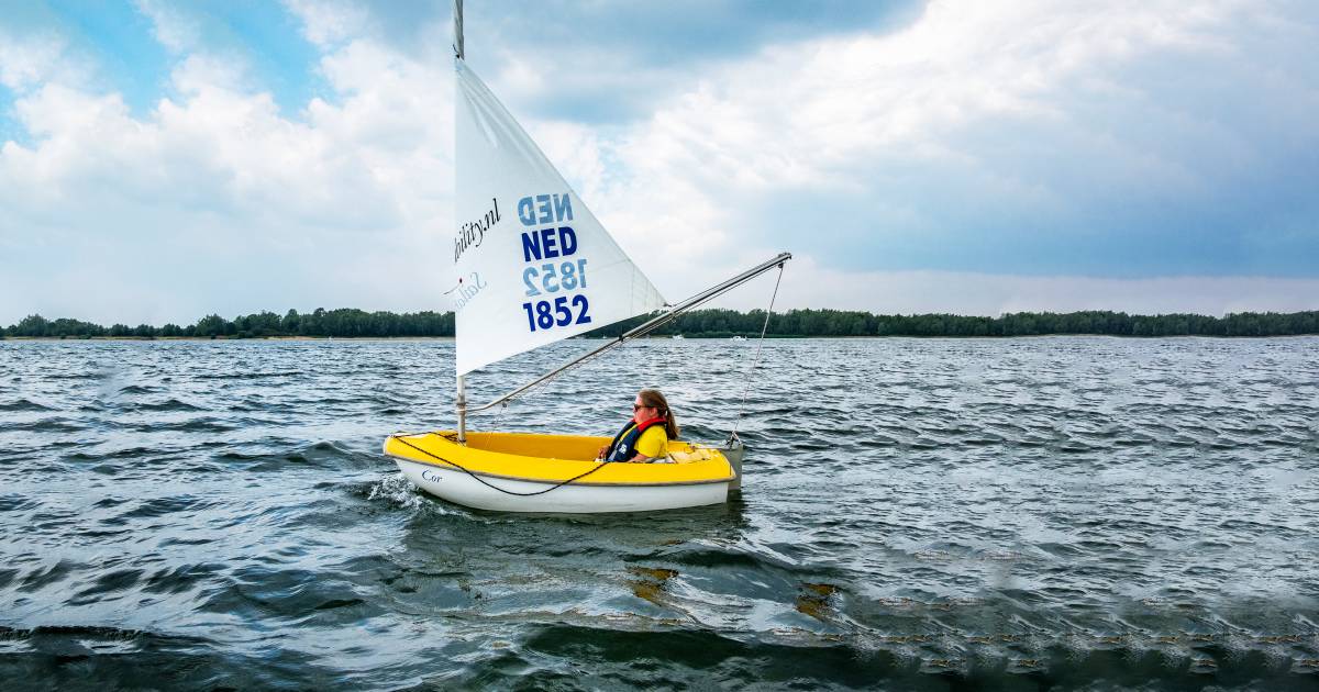 Rhederlaag loopt vol met water: op het strand liggen kan niet meer, zwemmen nog wel - De Gelderlande