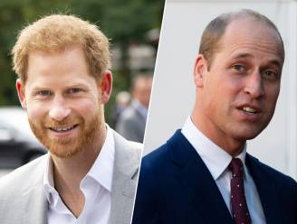 Bezoekt prins William zijn broer Harry tijdens Amerikaanse reis? “Dat is zeer onwaarschijnlijk”