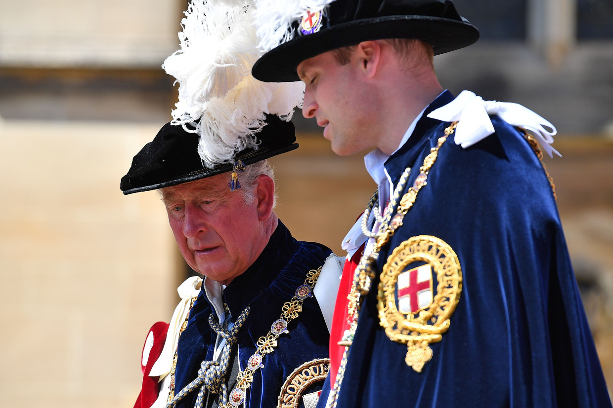 De tegenzin van Charles en William werd gemeld in gesprekken over welke royals Trump zou ontmoeten. Beeld AFP