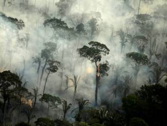 Brazilië aanvaardt nu toch geld uit buitenland om Amazonewoud te beschermen