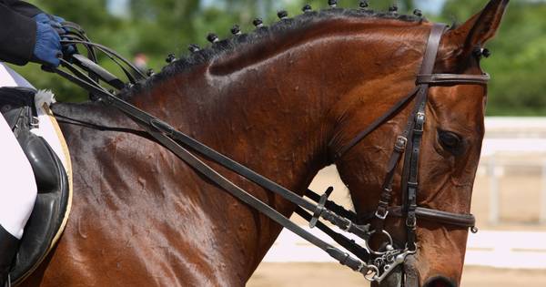 Leontine Bruin op podium in Vragender