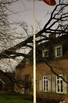 Boom valt tegen vrijstaand huis in Hengelo aan, brandweer met hoogwerker ter plaatse