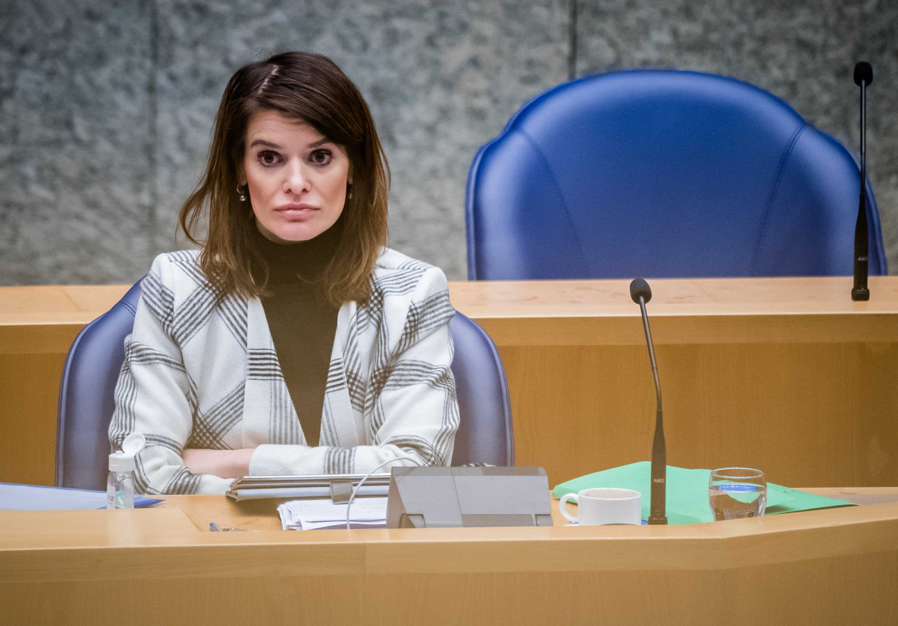 visser-zegt-t-ch-extra-onderzoek-naar-militaire-radar-herwijnen-toe