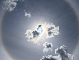 Prachtige halo gespot: maar betekent die kring rond de zon ook regen in de ton? 