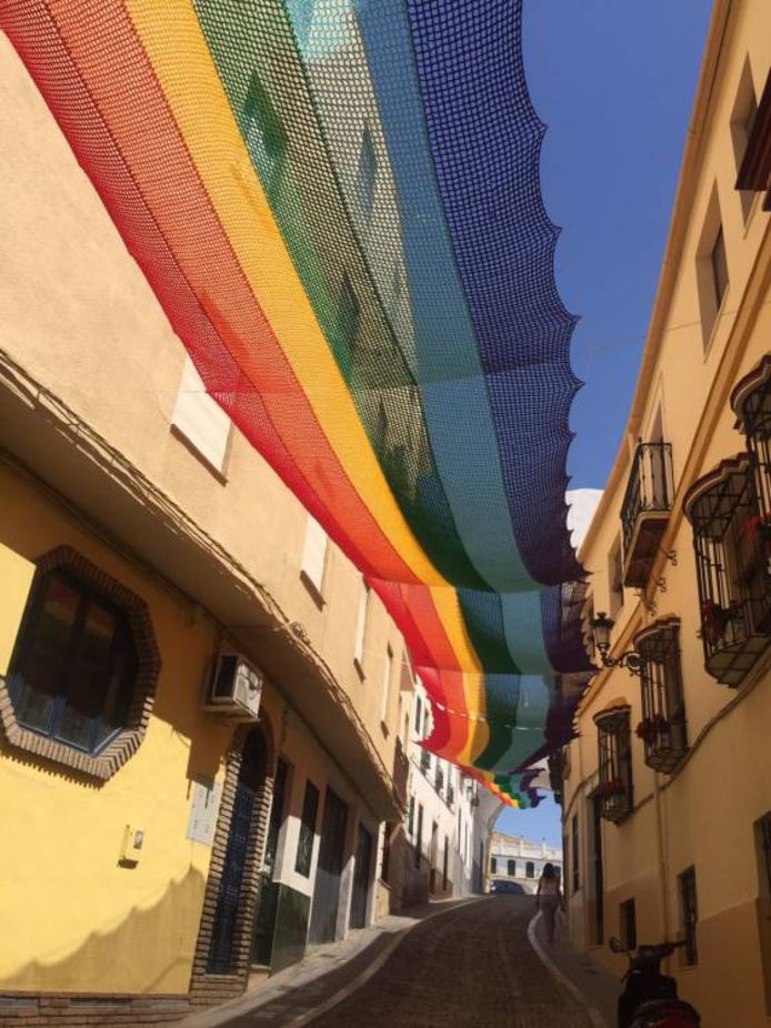 De bewuste regenboogvlag is een teken van gelijkheid.