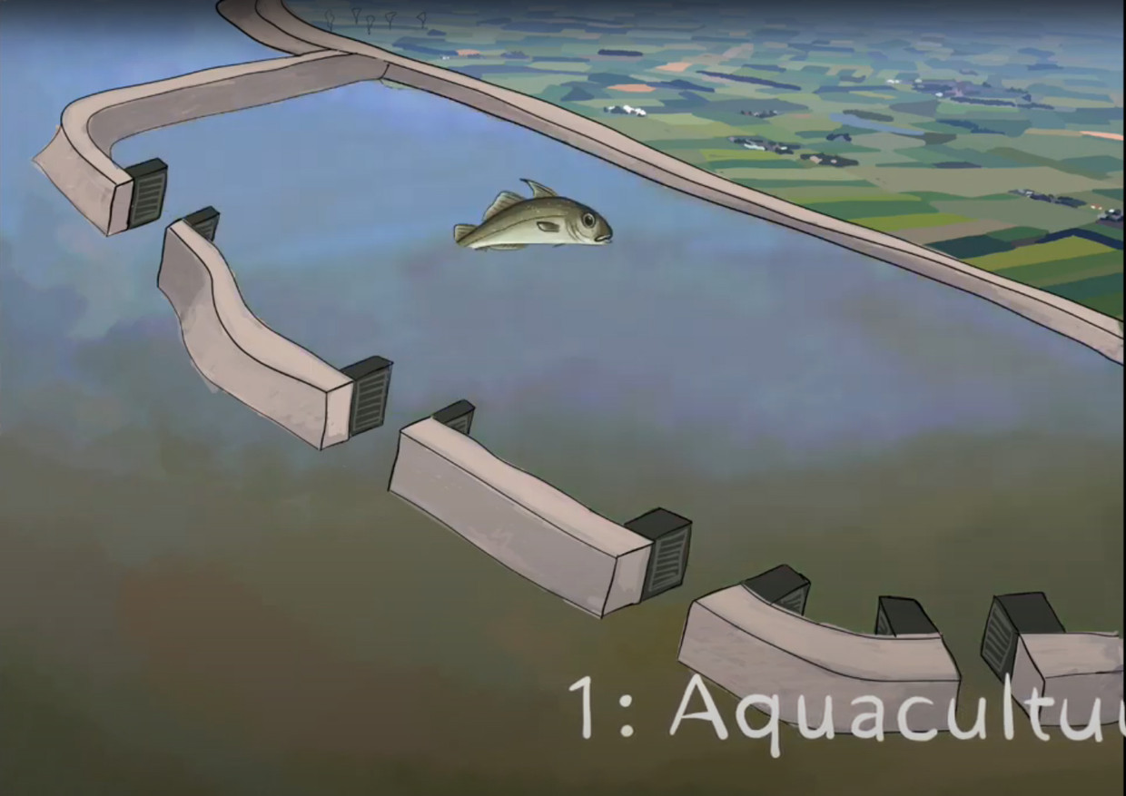 Fase 1: het water van de Westerschelde treedt binnen. Beeld 