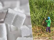 Le prix du sucre blanc au plus haut depuis 10 ans
