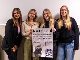 Vier studenten organiseren Katfee: een evenement ten voordele van asielkatten
