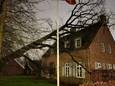De boom tegen het huis in Hengelo