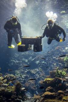 Biologisch afbreekbaar koraal doorstaat test in rif van Burgers Zoo met glans