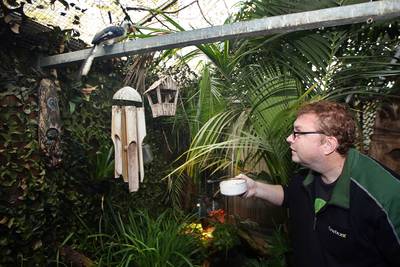Ado’s vogeltuin mag blijven, maar tropische kas moet weg: ‘Onbegrijpelijk, want niemand heeft er las