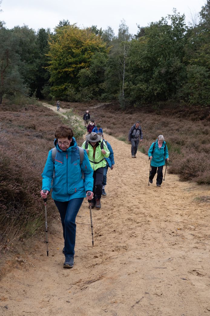 Ze struinen onder meer door Thor Park, Bokrijk en Rivierpark Maasvallei.