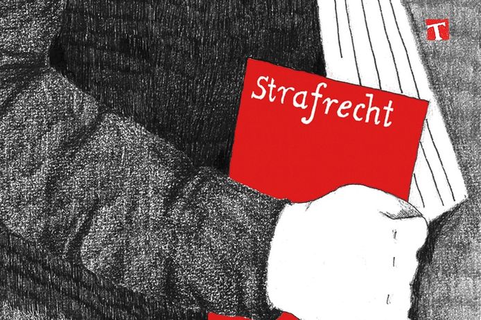 Illustratie: Joyce Rothman