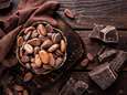 Manger du chocolat noir pour réduire les risques de dépression
