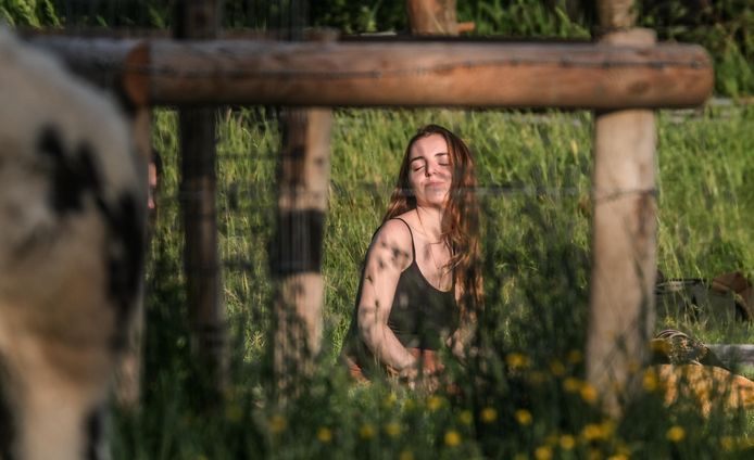 Yoga in de weide.