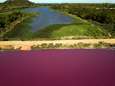 Wetenschappers verbaasd: Paraguayaanse lagune wordt paars aan ene kant, maar blijft blauw aan de andere