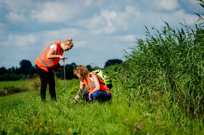 Leden van het Dijkleger controleren de barsten en scheuren in kleidijken.