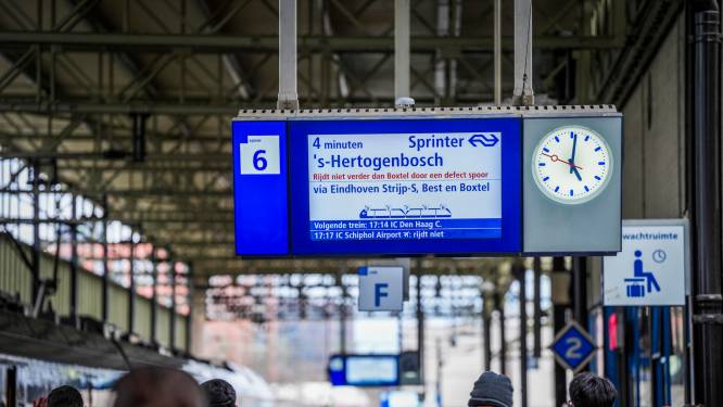 Week lang geen treinen tussen Den Bosch en Eindhoven door gravende dassen, mogelijk zelfs langer