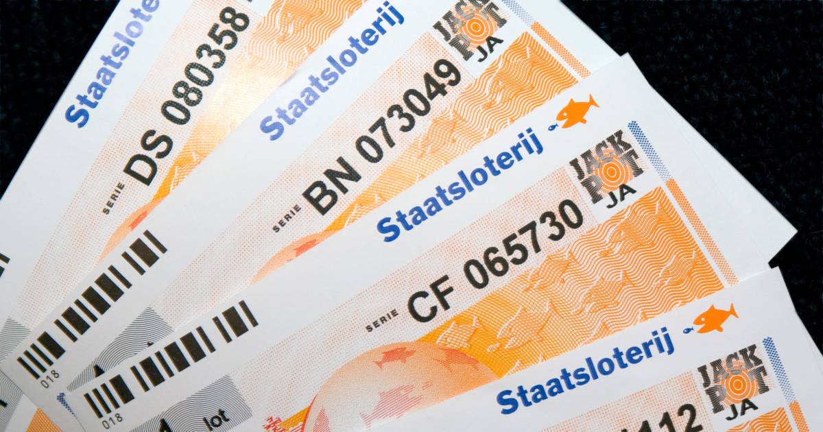 inwoner vlaardingen wint 21 5 miljoen bij staatsloterij waterweg ad nl
