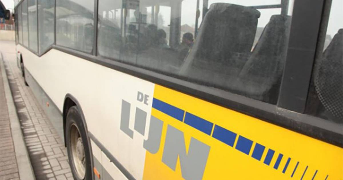 De Lijn is still looking for 600 bus drivers during weekdays this year |  internal