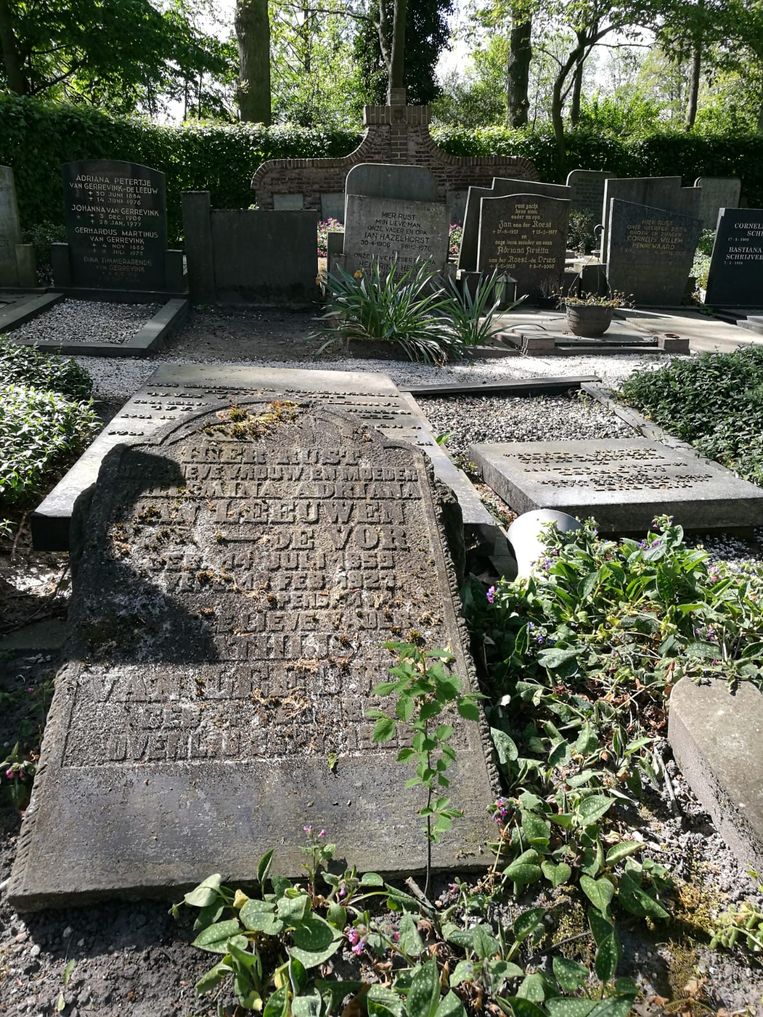Grafstenen op de begraafplaats in het voormalige dorp Jutphaas (Nieuwegein).
 Beeld Sarah-Mie Luyckx