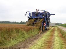 Iedereen dingt mee naar Enschedese pachtgrond: huidige gebruiker kan perceel kwijtraken 