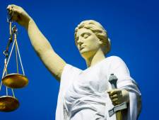 Statushouder (22) liet zich inspireren door hulpboek bij ‘poging tot verkrachting’