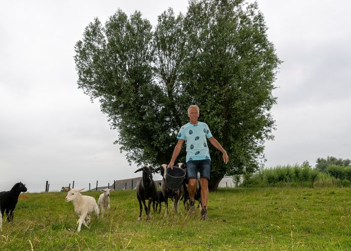 Slager, veehouder en landbouwer Ben van Diemen bij zijn monumentale wilg in Leimuiden.