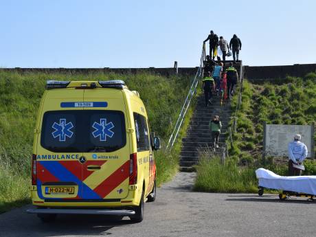 Duiker gewond geraakt bij Zuid Langeweg in Dreischor