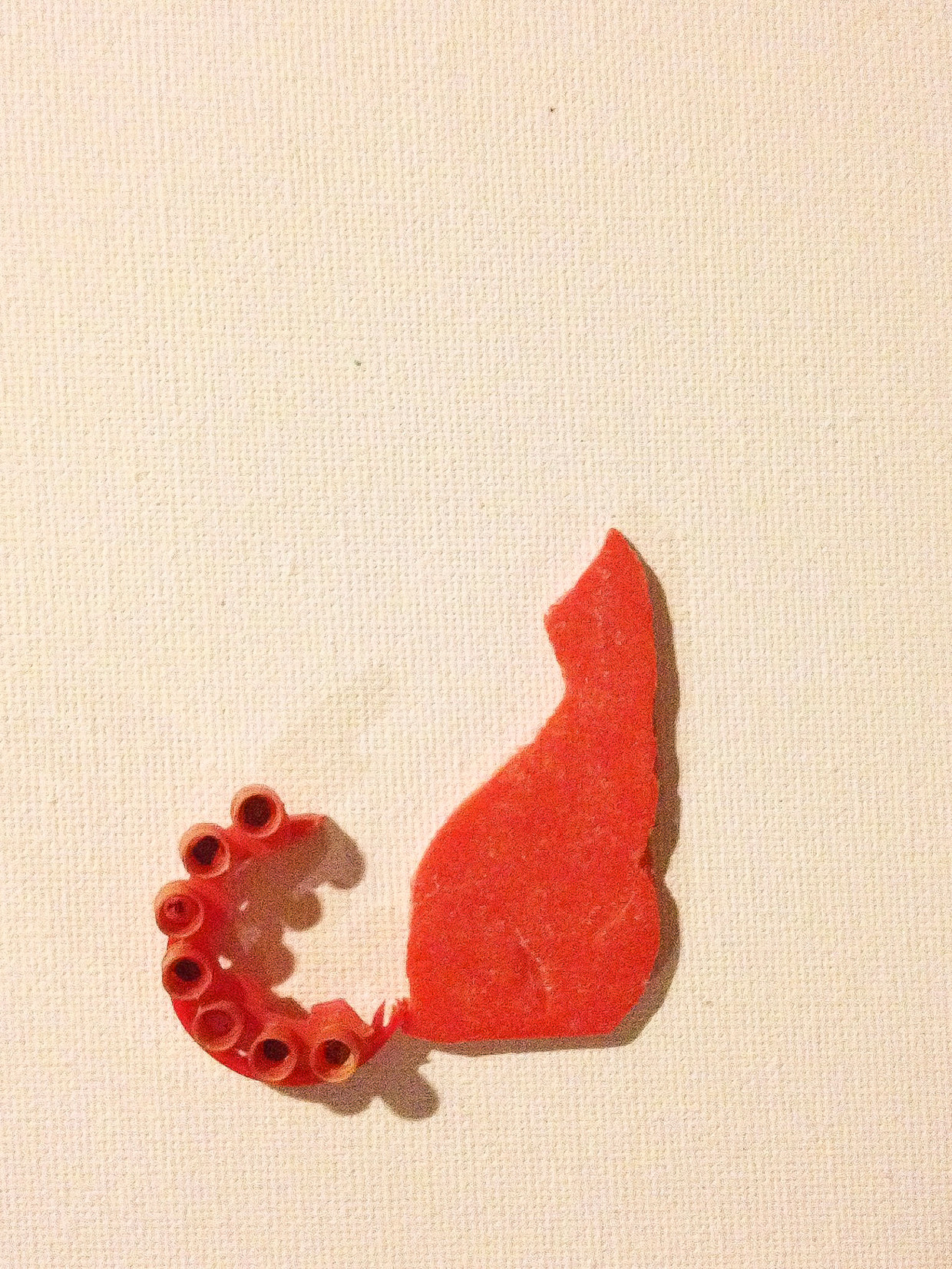 ‘Minimalistic Red Cat’ Beeld Elza Zijlstra