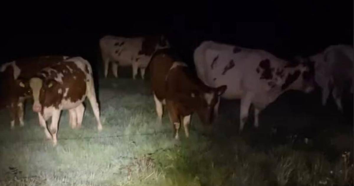 112 meldingen en 112 nieuws in empe oozo nl