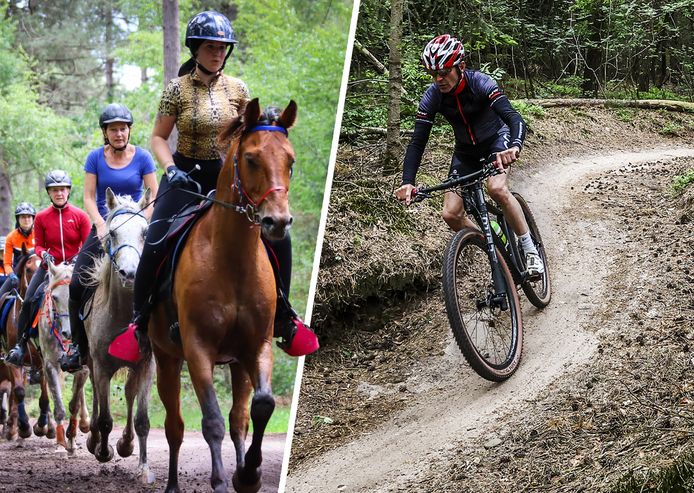 Paardrijden en mountainbiken? Op de Veluwe wordt straks gevraagd om geld te betalen.