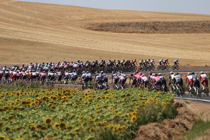 Het peloton tijdens de tweede etappe van de Vuelta.