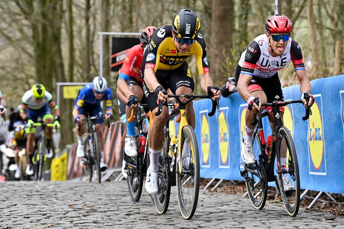 Wout van Aert is de laatste winnaar van Gent-Wevelgem.