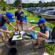 Al suppend plasticvissen kan de wereld een stukje beter maken