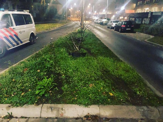 De bestuurder van een grijze Mercedes reed onder andere een paar bomen aan in Nijmegen.