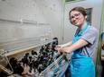 An-Sofie voedert de jonge kauwen in het Vogelopvangcentrum Oostende