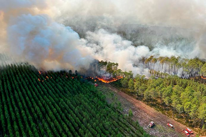 Een bosbrand bij Landiras.