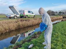 Alle hens aan dek bij dierenambulances door vogelgriep: ganzen vallen bij bosjes uit de lucht, ook in woonwijken