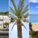 Kalm aan in de Algarve