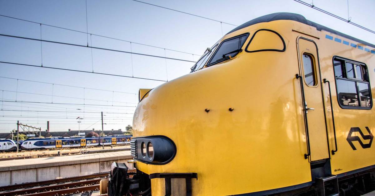 Herdenkings Opblazen Heer De 'Apekop' weer even op het spoor | Den Haag | AD.nl