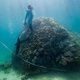 Uitzonderlijk groot en gezond stuk koraal ontdekt in verblekend rifgebied Australië
