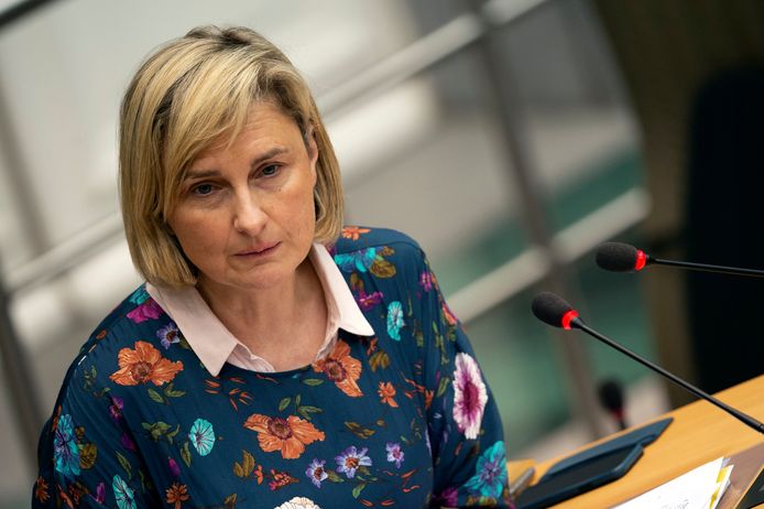 Vlaams minister van Onderwijs Hilde Crevits