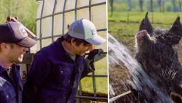 De varkens kunnen pootje baden dankzij Dieter en Mathias