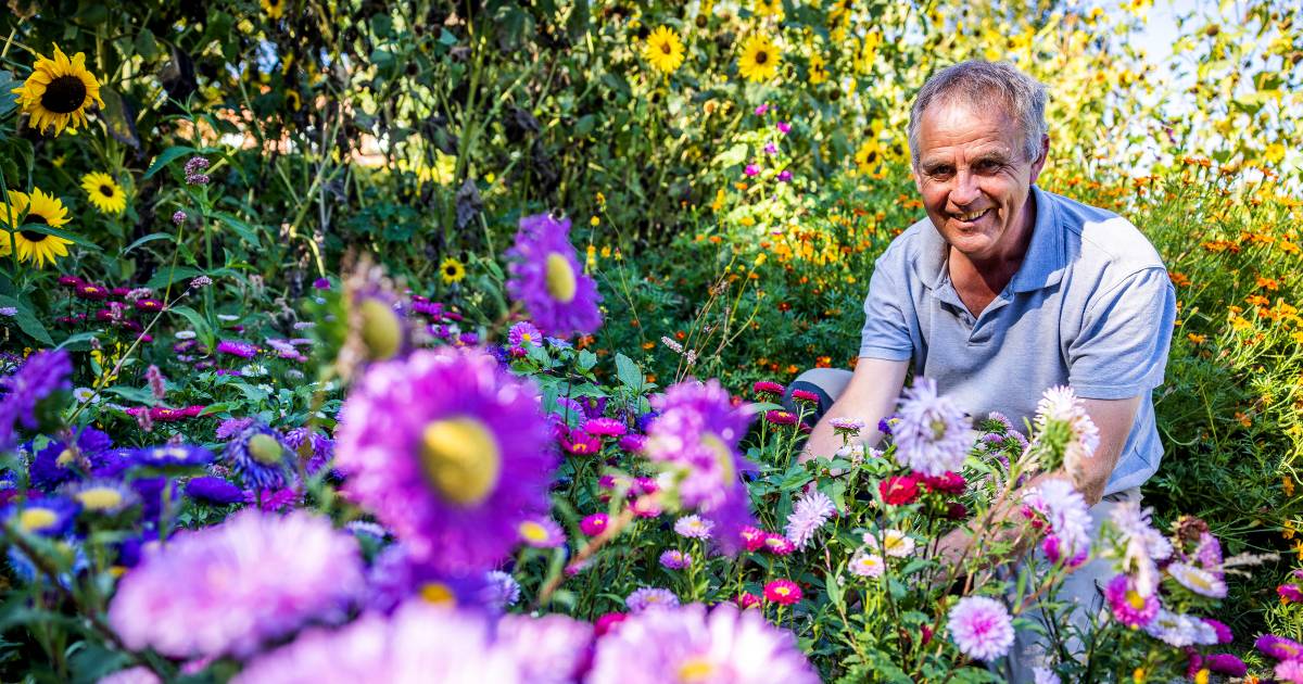 Hans zegde goed betaalde baan op om zorgboerderij te beginnen: 'Geen moment spijt van' - BN DeStem