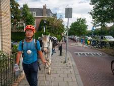 Xu (33) wandelt mét paard 20.000 kilometer naar China: ‘Mag hij even in uw tuin grazen?’
